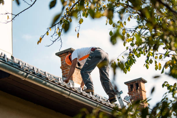 Roof Gutter Cleaning in Craig Beach, OH