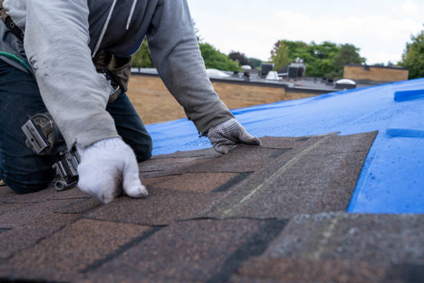 Best Metal Roofing Contractor  in Craig Beach, OH